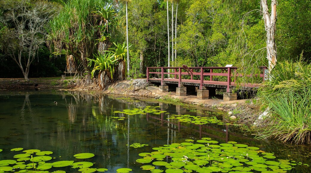 Centenary Lakes Botanic Gardens featuring a pond