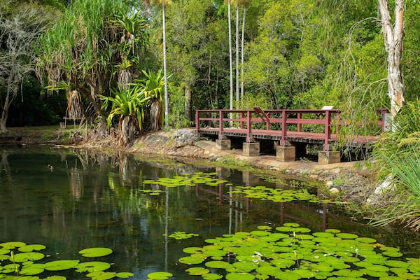 Centenary Lakes Botanic Gardens featuring a pond
