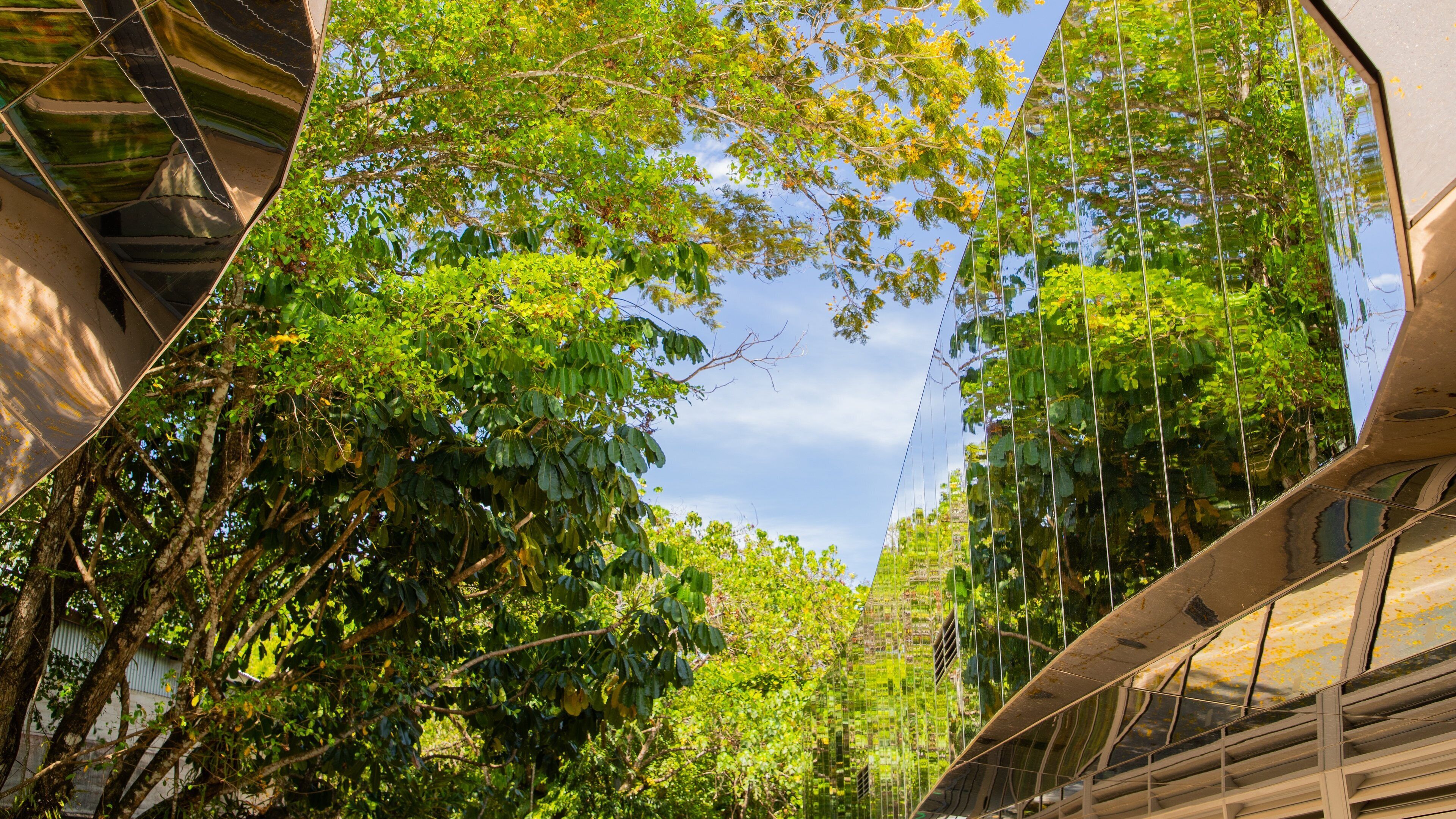 Centenary Lakes Botanic Gardens featuring a park