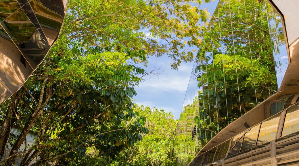 Centenary Lakes Botanic Gardens featuring a park
