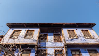 A traditional building with multiple windows and a tiled roof.