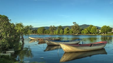 A calm lake with several boats anchored near the shore, surrounded by lush greenery and distant hills.