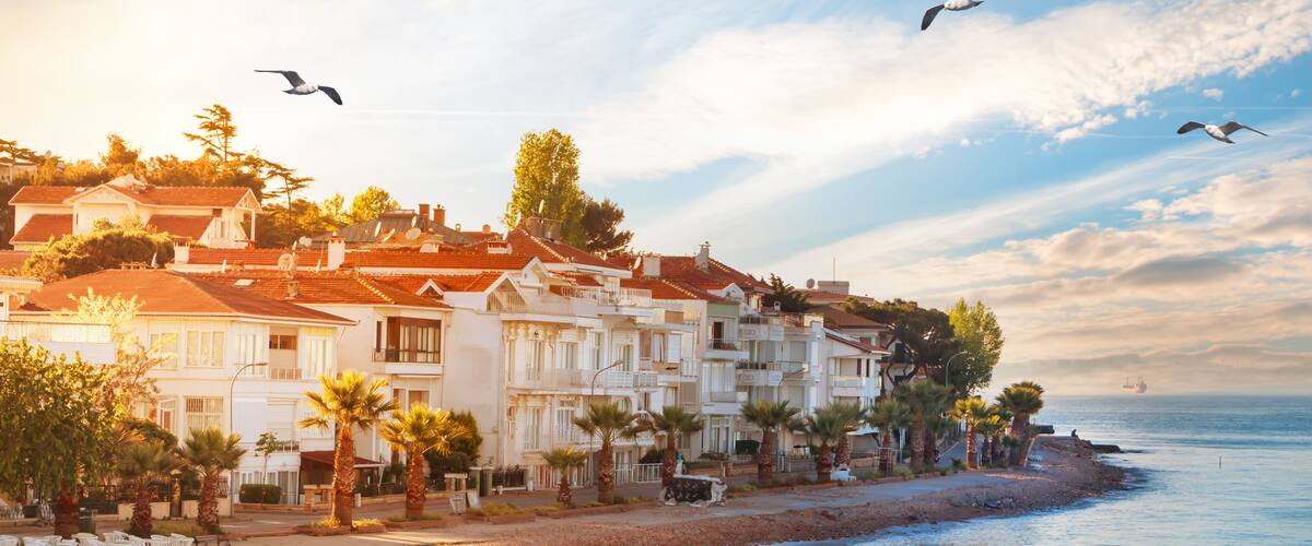 A coastal town with white buildings, palm trees, and a beach.