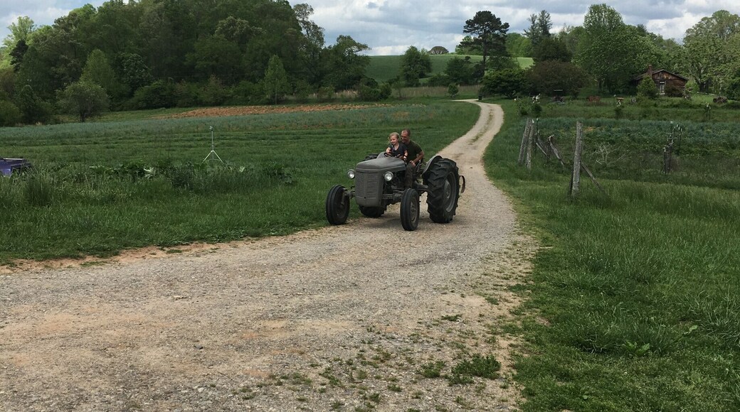 Mills River is a a beautiful agricultural community surrounded by the Blue Ridge Mountains and the French Broad River. There's endless opportunities for hiking, fishing, and camping. This is my family on our organic asparagus farm. #SpringFun