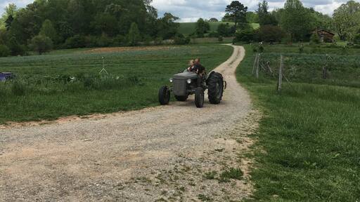 Mills River is a a beautiful agricultural community surrounded by the Blue Ridge Mountains and the French Broad River. There's endless opportunities for hiking, fishing, and camping. This is my family on our organic asparagus farm. #SpringFun
