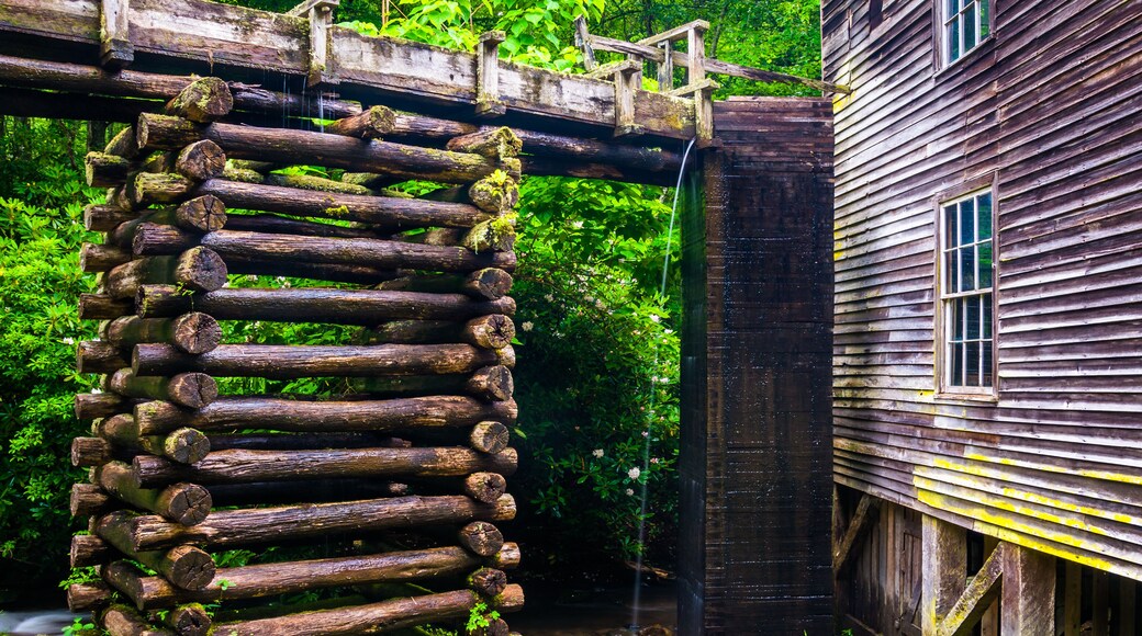 Thị trấn Mills River