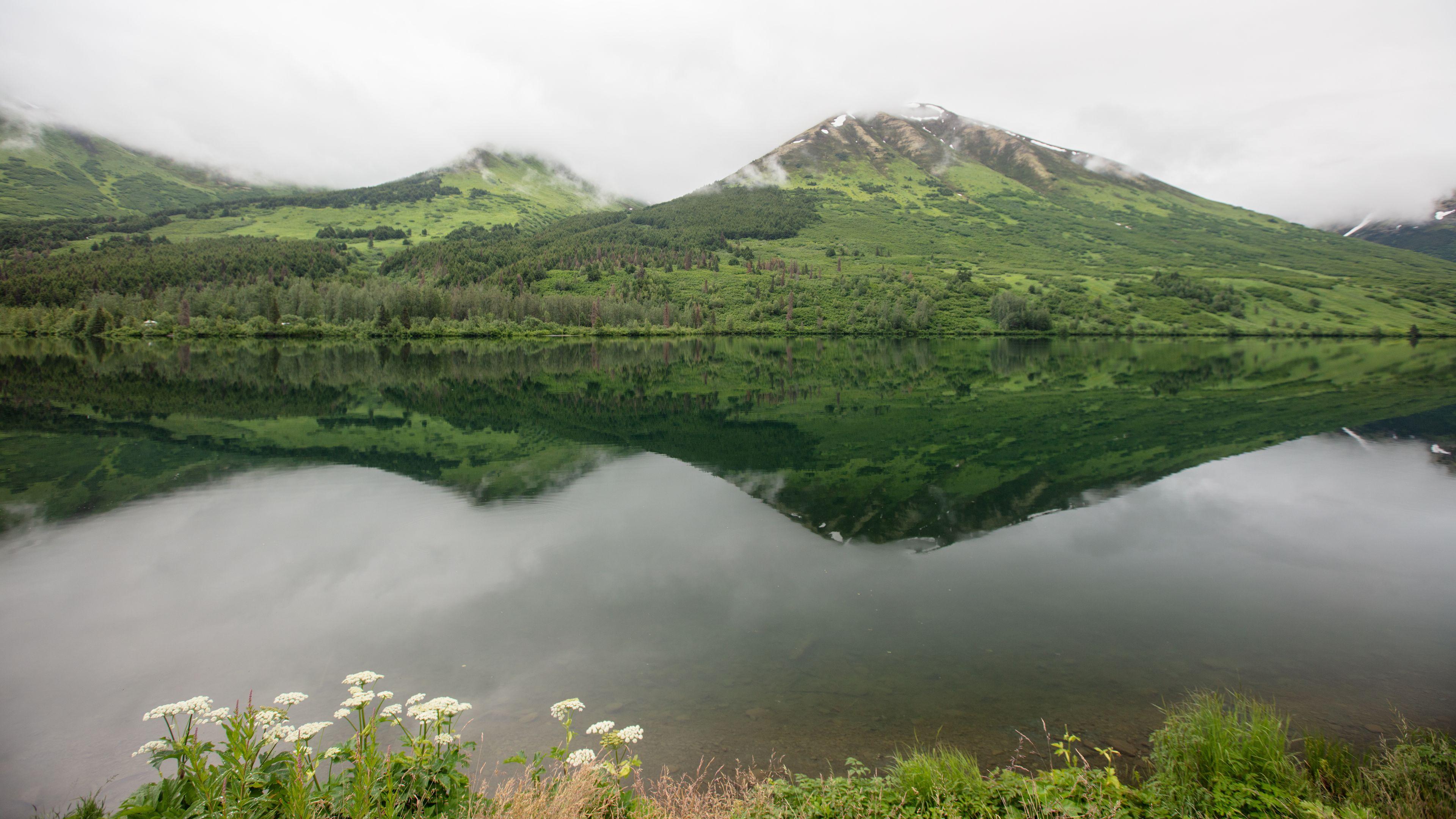 Reflections in Summit Lake on way to Seward Alaska United States