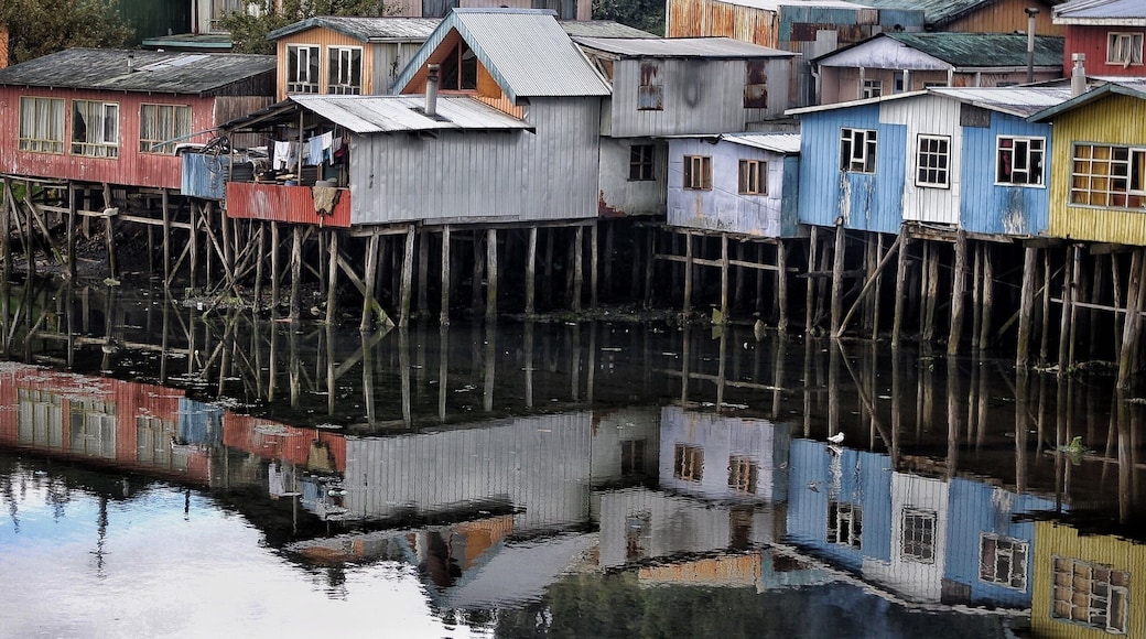 These are the stilt houses popular is the region. Castro city. #chile #patagonia #chiloe #castrocity #stilthouses #stunningstructures