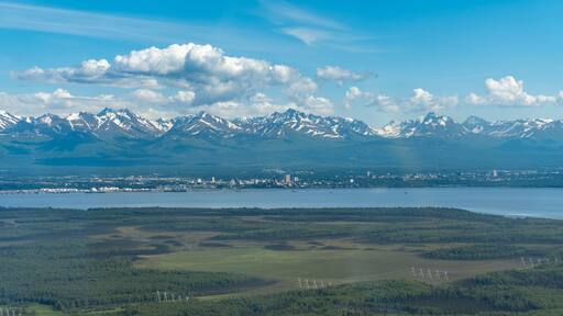 埃爾門多夫理查森聯合基地