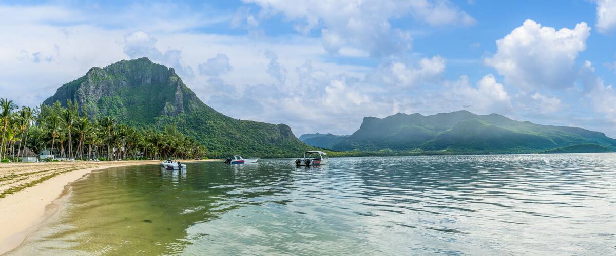 A beach with boats, palm trees, and mountains in the background.