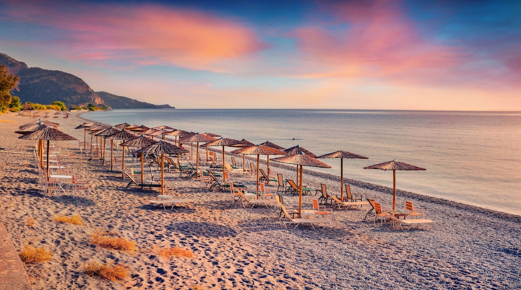 Une plage bordée de rangées de chaises longues et de parasols, une mer calme et un paysage montagneux en arriÚre-plan.