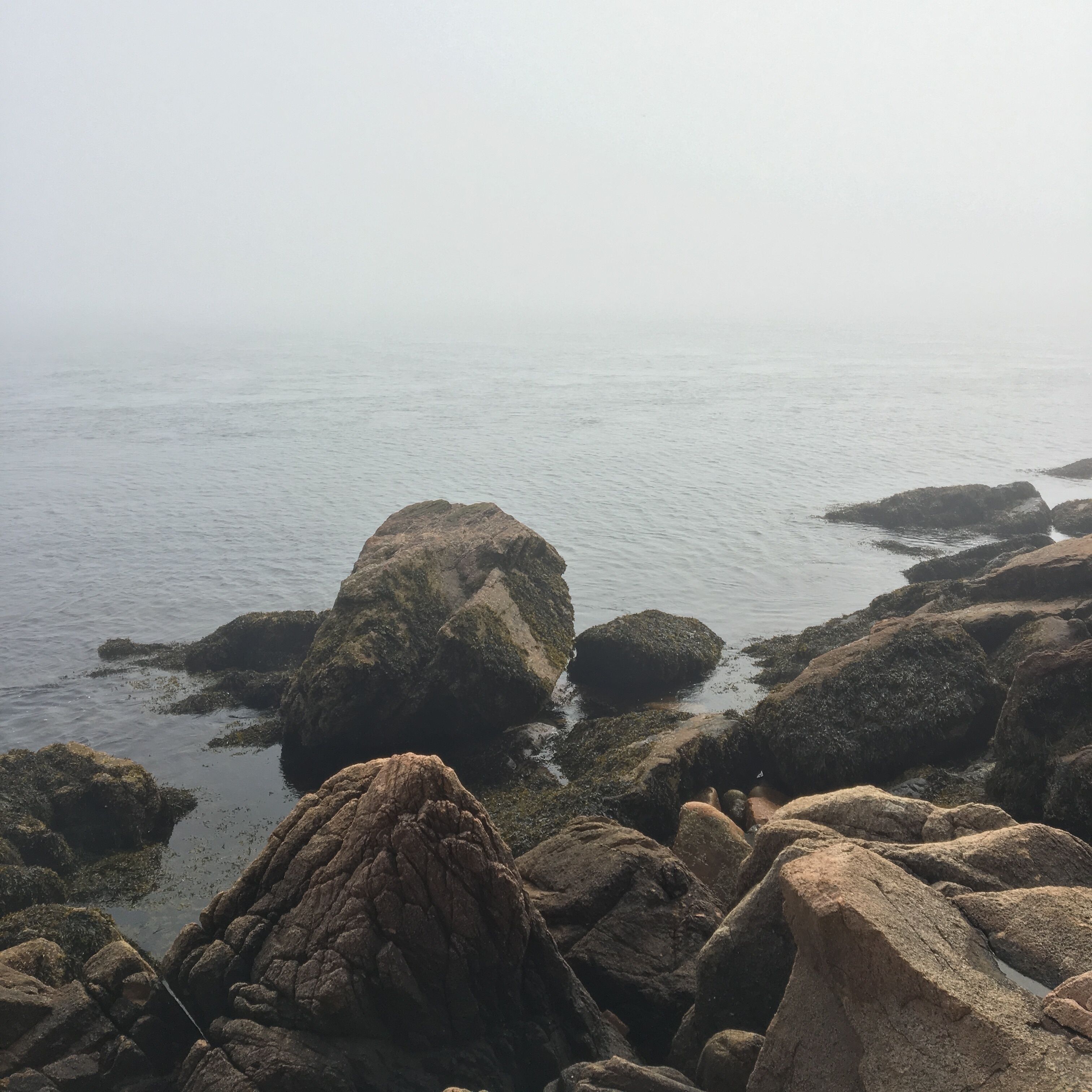 watching the fog rolling in 