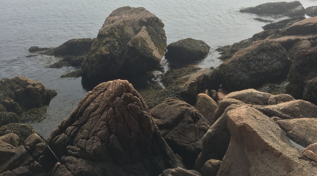 watching the fog rolling in