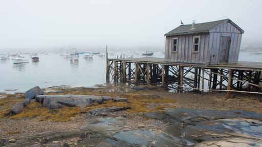 Looking through the fog across Bass Harbor to Tremont on #MountDesertIsland.