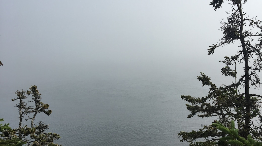 Walking down to the rocks behind the lighthouse