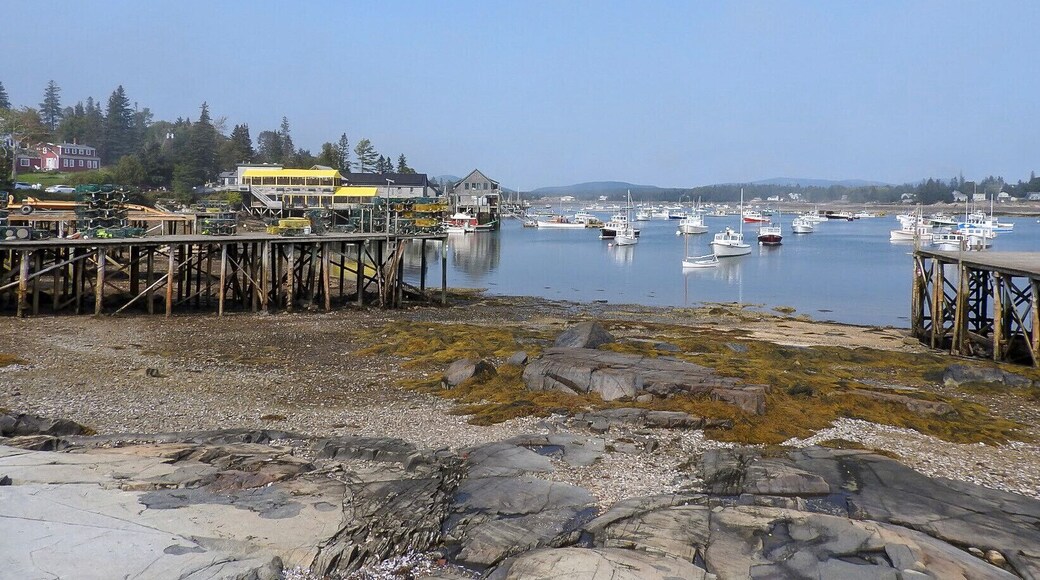 Low tide at the harbour in Bernard, Maine. The primary industry for the area is fishing with lobster being the dominant one, followed by scallops and shrimp, primarily in the winter months. Boat building and related services are important as it supports the fishing industries. Tourism primarily impacts the summer months. (September 2017)