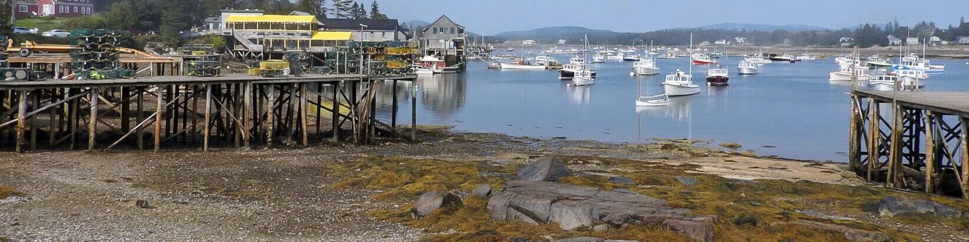 Low tide at the harbour in Bernard, Maine. The primary industry for the area is fishing with lobster being the dominant one, followed by scallops and shrimp, primarily in the winter months. Boat building and related services are important as it supports the fishing industries. Tourism primarily impacts the summer months. (September 2017)