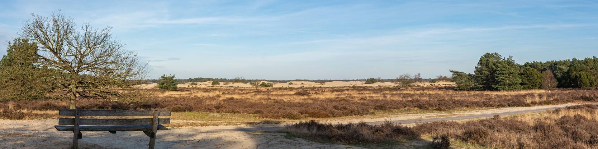 A sandy landscape with a wooden bench, a dirt path, and sparse vegetation.