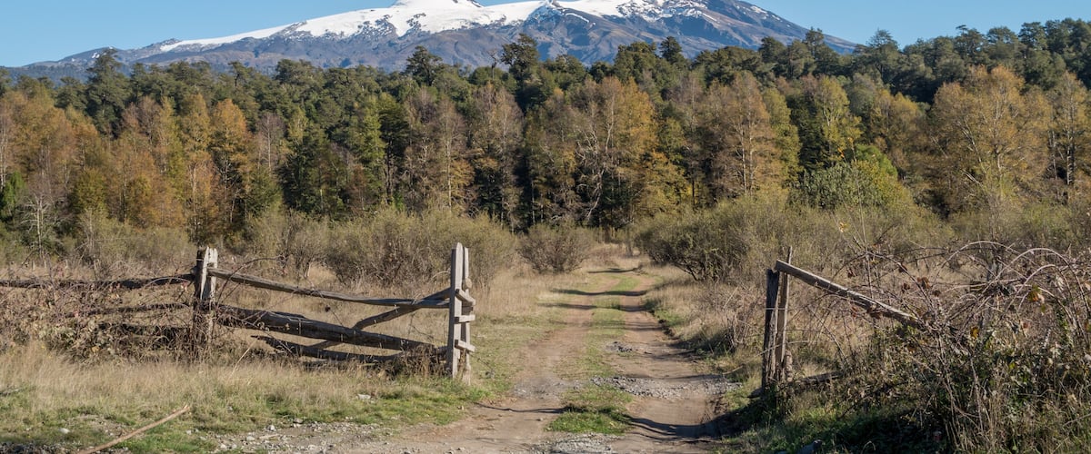 A dirt path leading to a mountain with a snow-capped peak, surrounded by a forest with autumn-colored trees.