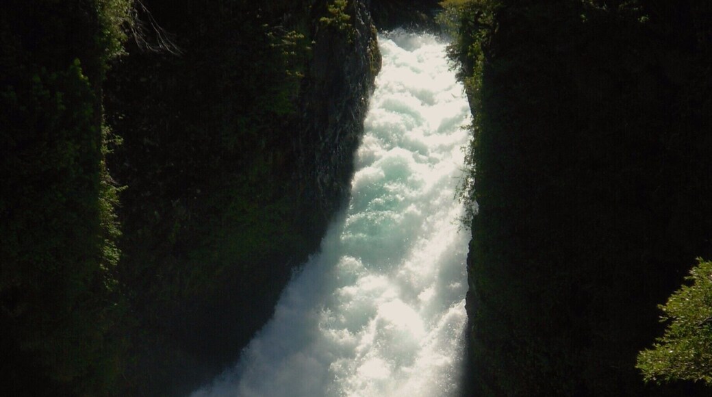 Salto Huilo Huilo. Una vista privilegiada. Una pena que por las bajas lluvias hoy este seco....esperando el invierno! #roadtrip