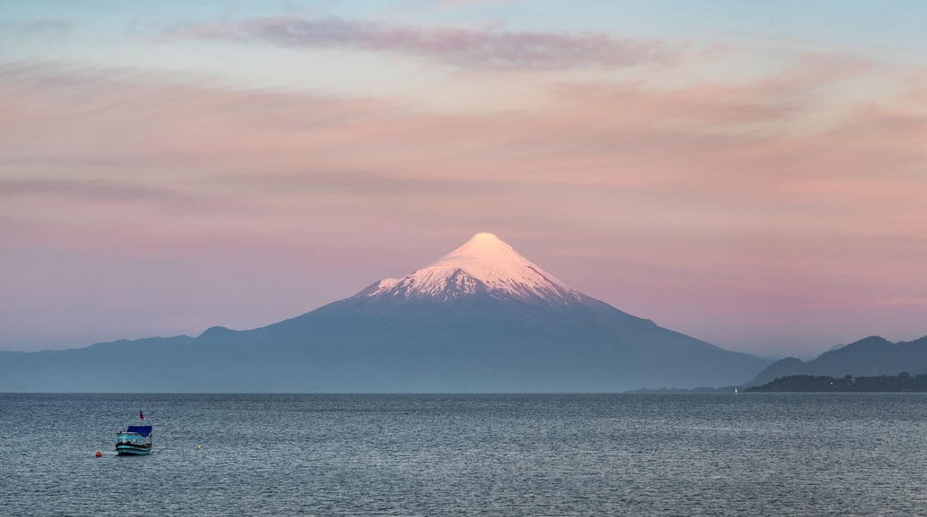 ジャンキーウェ