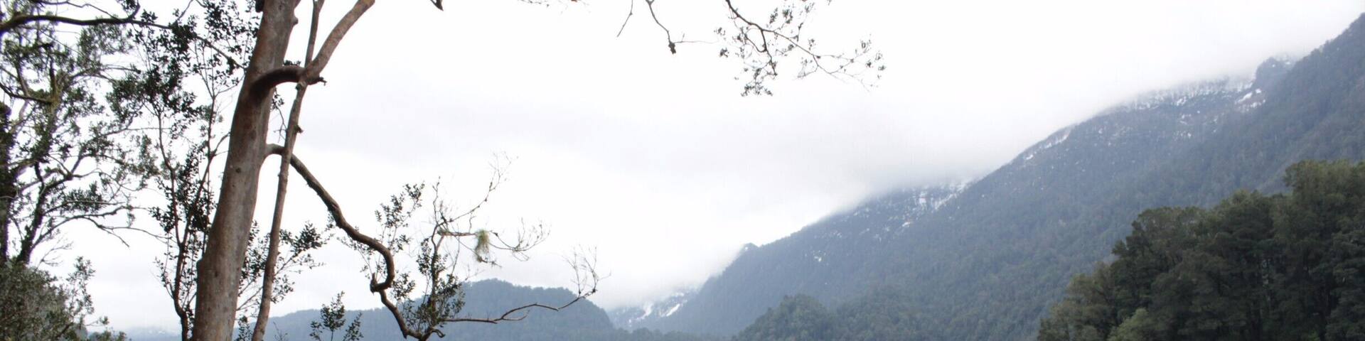 Ubicada dentro del Parque Futangue. Buen panorama para un domingo.