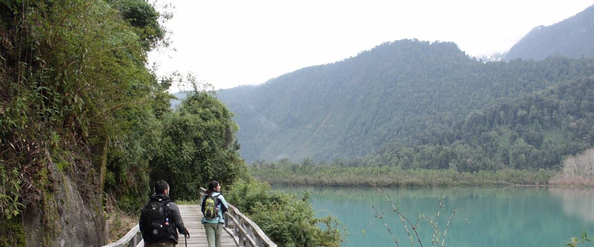 A wooden bridge over a calm lake surrounded by dense forest and hills.
