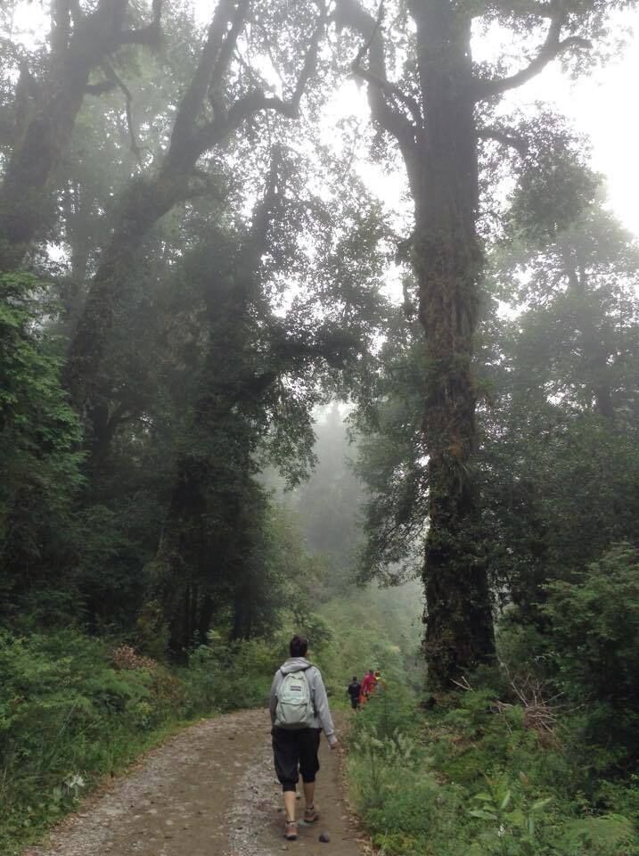 Sacando calor en una mañana fría en el #nationalpark (parque nacional Futangue) para ir a ver el trail running Futangue challengue 2015.