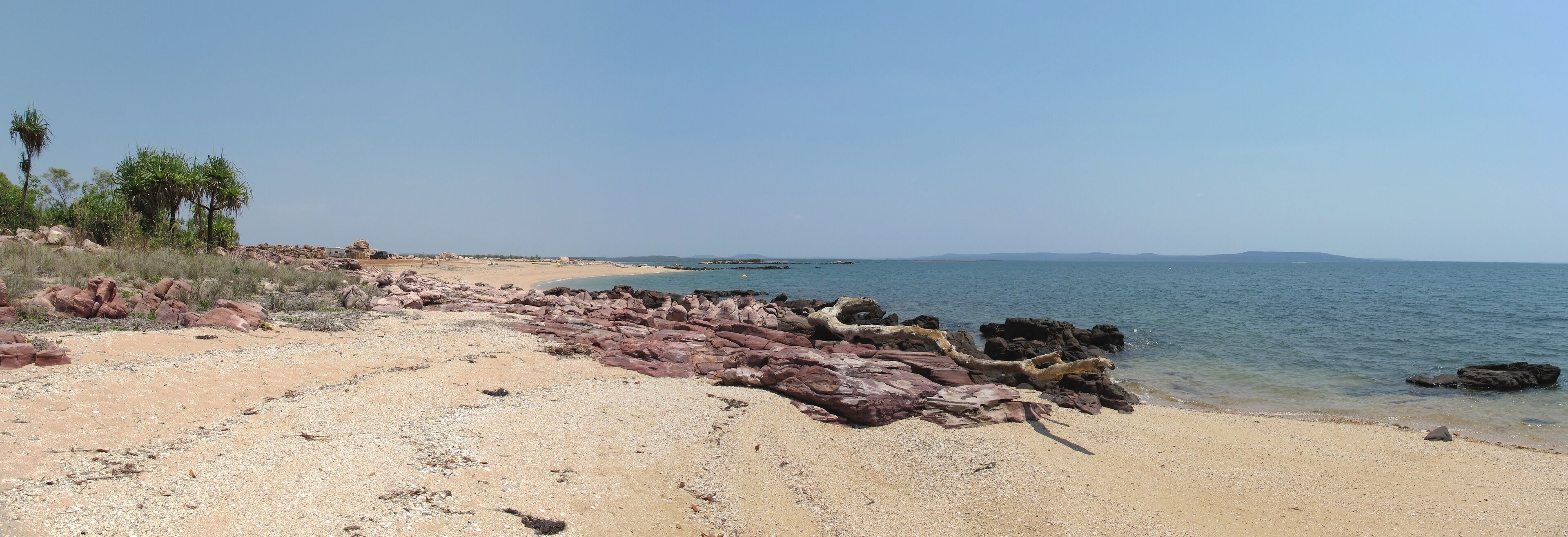 ميتشيل بلاتو