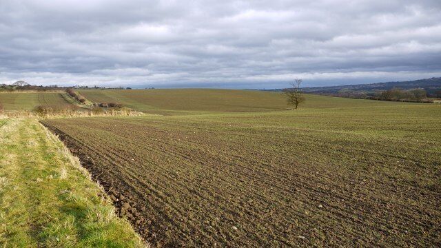 Gallow Hill Much of the land in this part of the county was part of the Umfraville barony based at Prudhoe Castle and it is said that the lord of the manor erected gallows here in a prominent position overlooking much of the lower parish lands around Ovingham and Prudhoe designed to deter wrongdoers. The country road just beyond the hill is still known as Gallowhill Lane. The kink in the field boundary to the left, and the lone tree now in the middle of an enlarged arable field are on the line of the parish boundary.