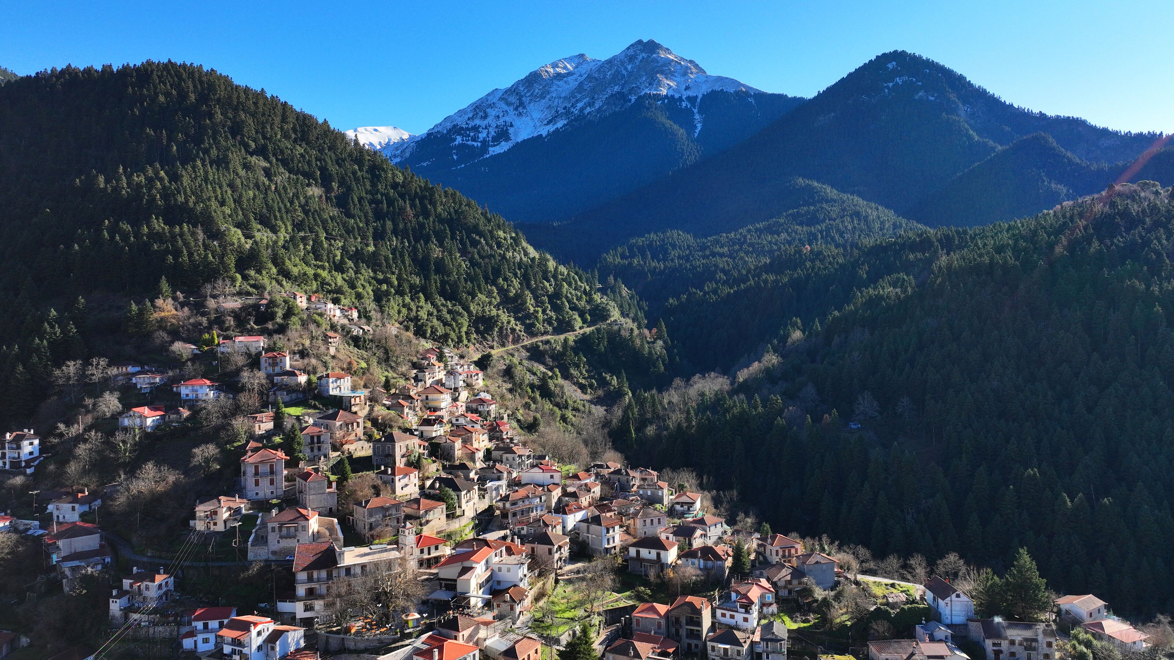 A mountainous village with houses on a hillside, surrounded by dense forests and a prominent snow-capped peak in the background.