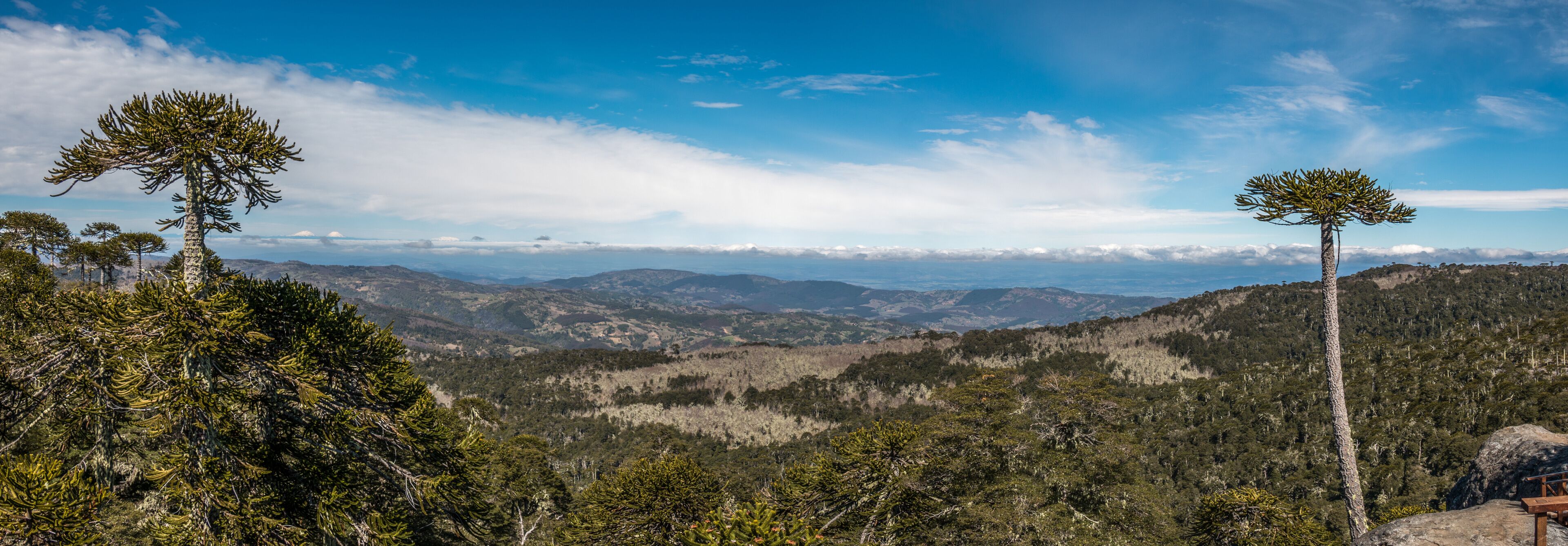 Stone of the Eagle in Nahuelbuta National Park, Chile.