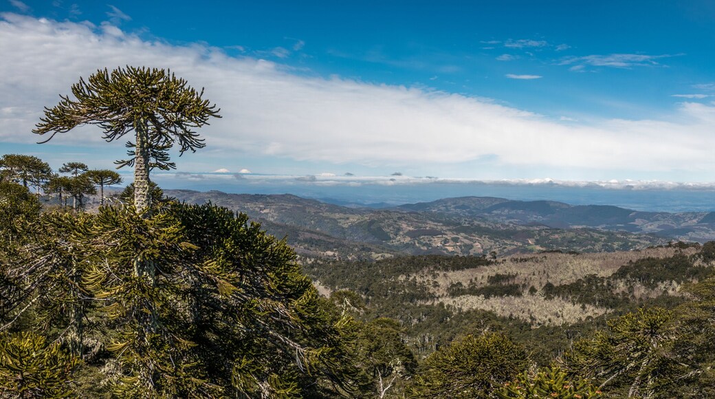 Stone of the Eagle in Nahuelbuta National Park, Chile.