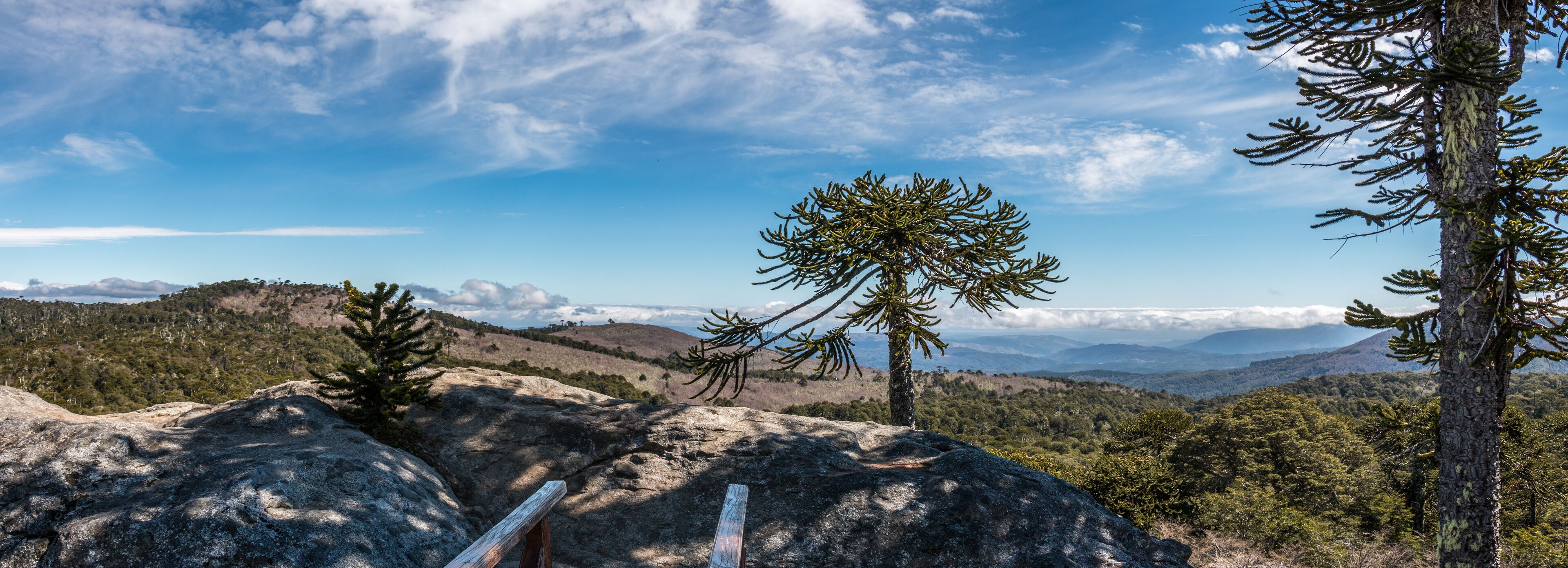 Stone of the Eagle in Nahuelbuta National Park, Chile.