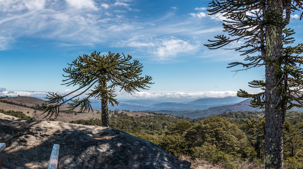 Stone of the Eagle in Nahuelbuta National Park, Chile.