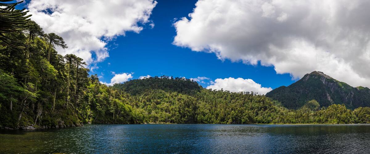 A lake surrounded by dense forest and a prominent mountain.