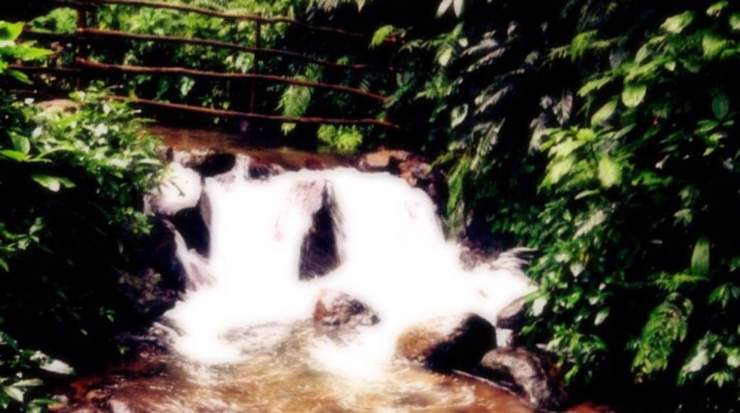 They rent out camps for campers, but also have little huts for overnight. Not like the US or Europe standard for camp sites, but there's an option. Otherwise, plenty of personal villas in the surrounding areas for rental. Absolutely not a glamping standard, but some of the villas are very nice.
#Waterlust