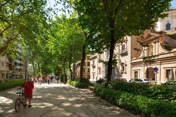 St Maarten and St Martin showing a garden