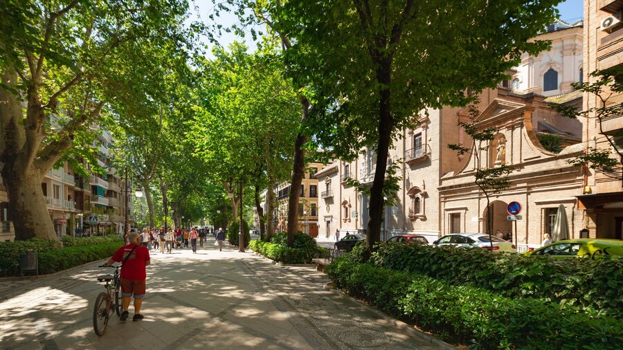 St Maarten and St Martin showing a garden