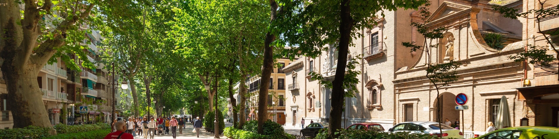 St Maarten and St Martin showing a garden