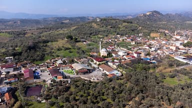 Aerial Aydın, Germencik, Hidirbeyli Village