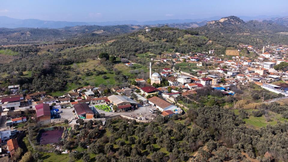 A rural village with scattered houses, a church, and olive groves.