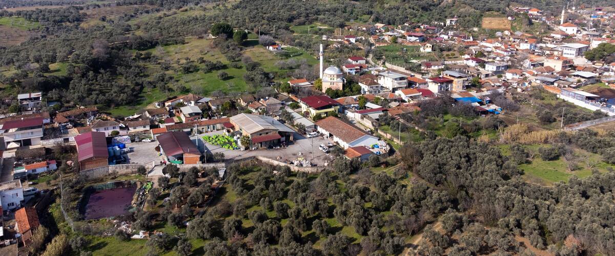 A rural village with scattered houses, a church, and olive groves.