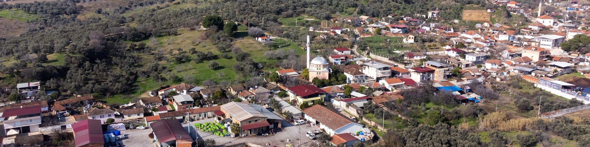 A rural village with scattered houses, a church, and olive groves.