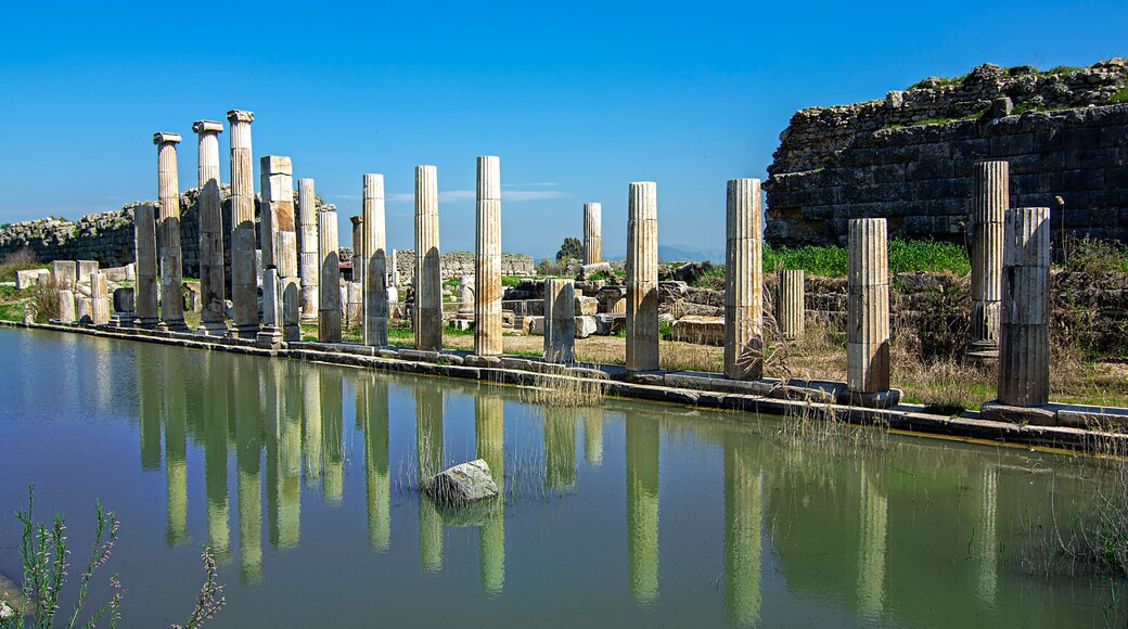 Magnesia ancient city Germencik,Aydin,Turkey