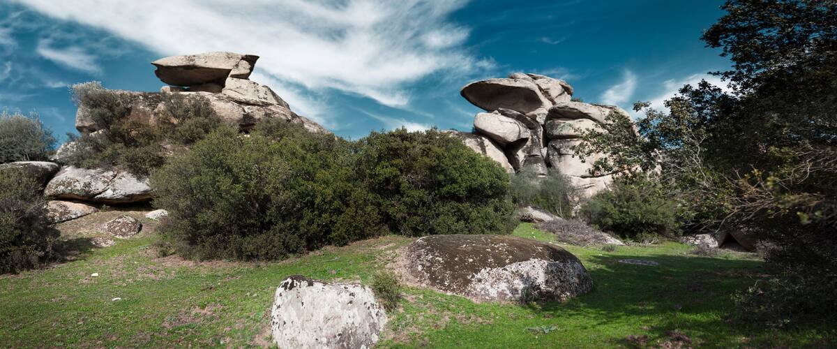 A landscape with large boulders and dense shrubbery under a clear blue sky.