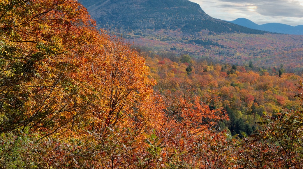 Scenic view of hillside with vibrant autumn foliage and rugged mountain peaks in White Mountain National Forest from Russell Pond Road in Thornton, New Hampshire.