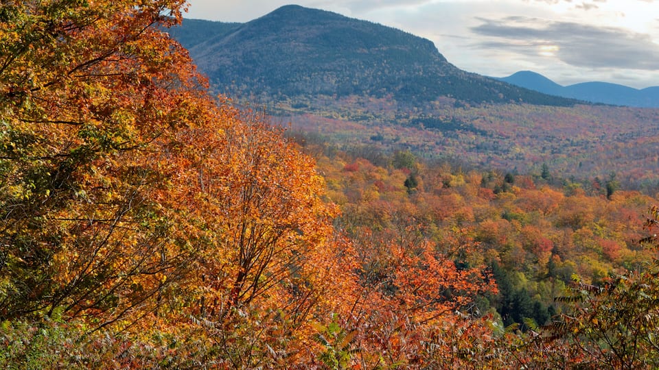 A mountainous landscape with autumn foliage.