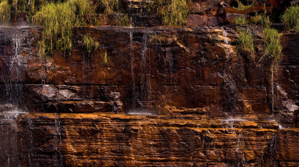 نهر برينس ريجينت