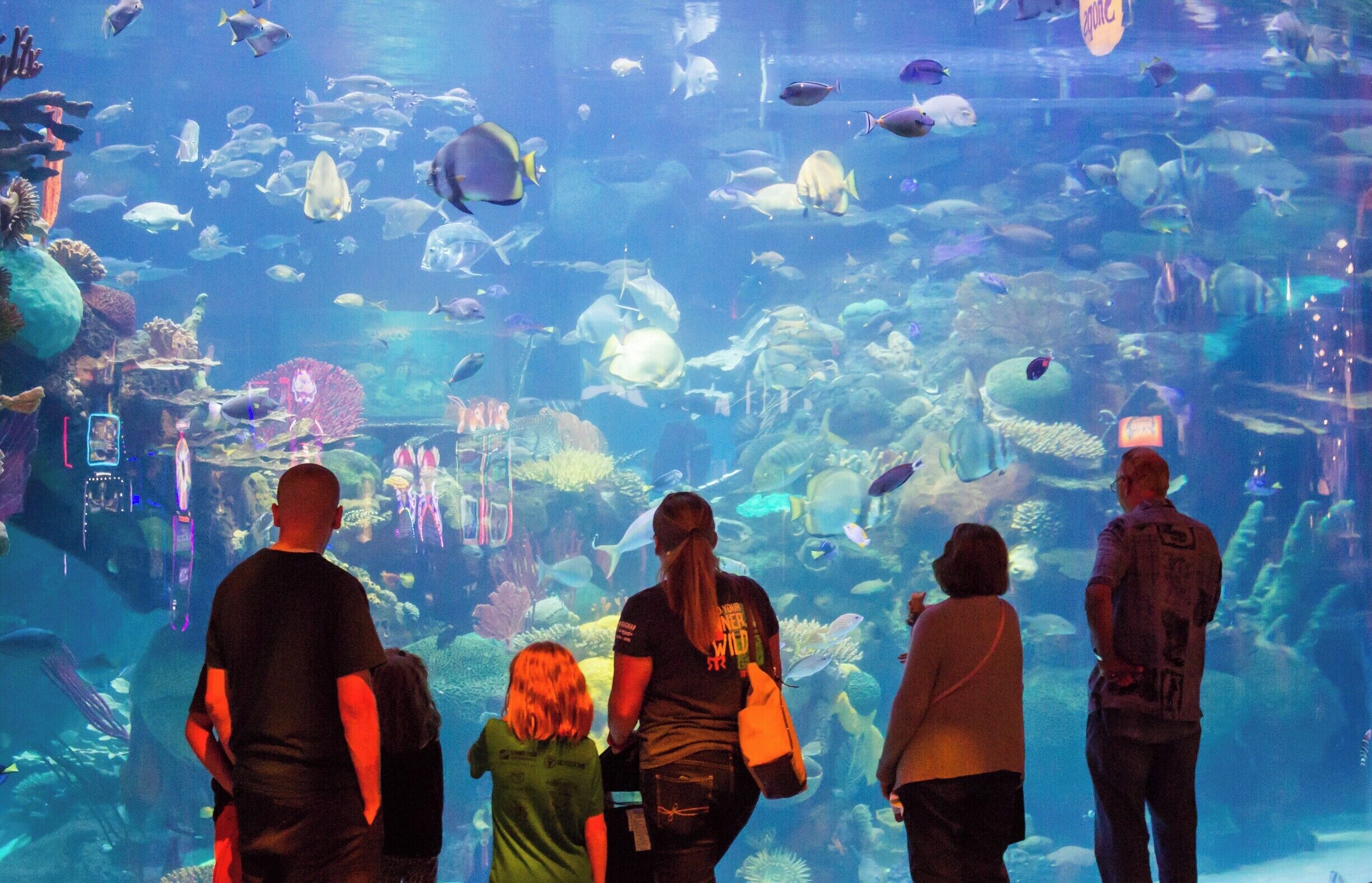A 117,000-gallon saltwater aquarium tank greets visitors and guests to this rustic-meets-modern casino hotel 